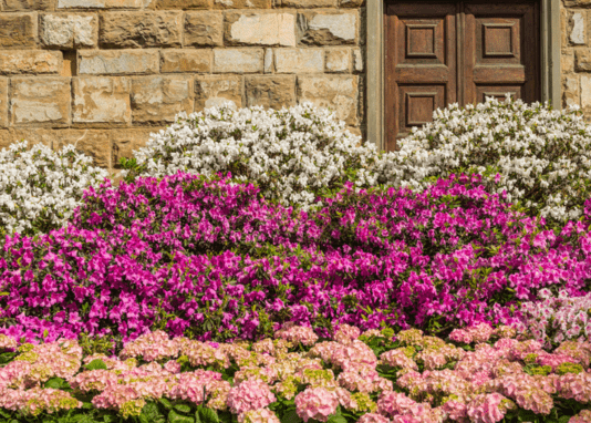 Jardin par couleur